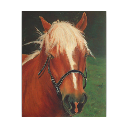 Brown Horse - Gallery Wrap Canvas Print