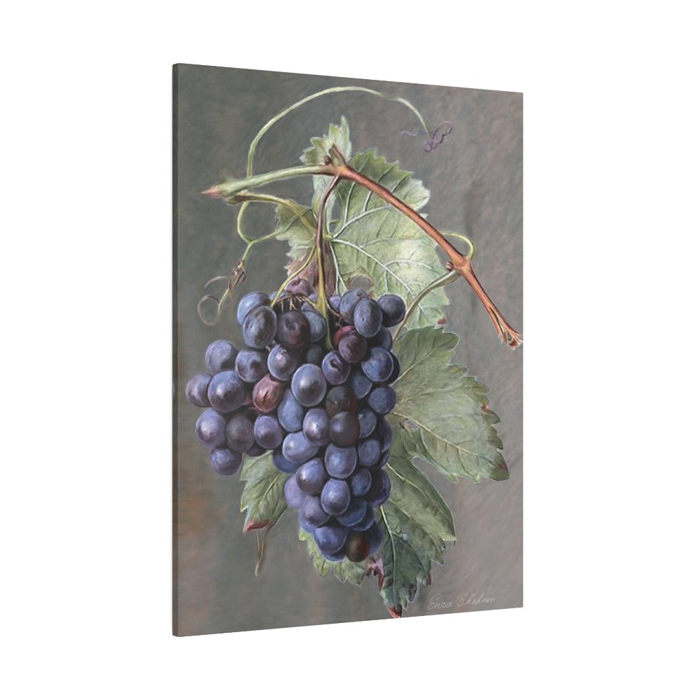 Fruit Print - Purple Grapes, Matte Canvas, Stretched