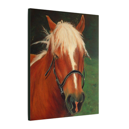 Brown Horse - Gallery Wrap Canvas Print