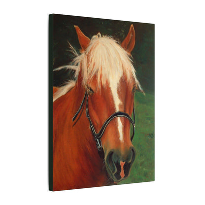 Brown Horse - Gallery Wrap Canvas Print