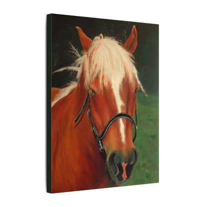 Brown Horse - Gallery Wrap Canvas Print