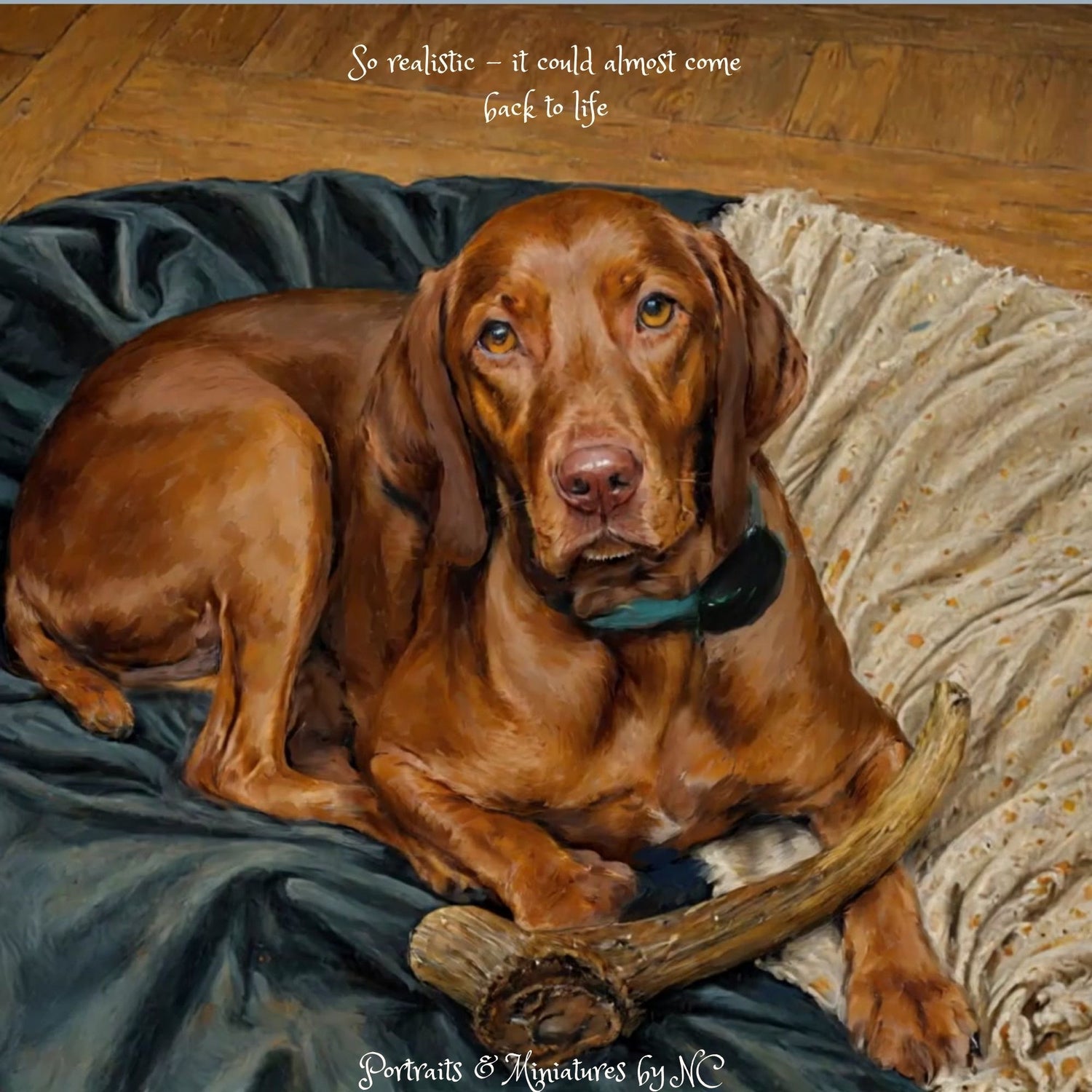 Vizsla Dog Portrait