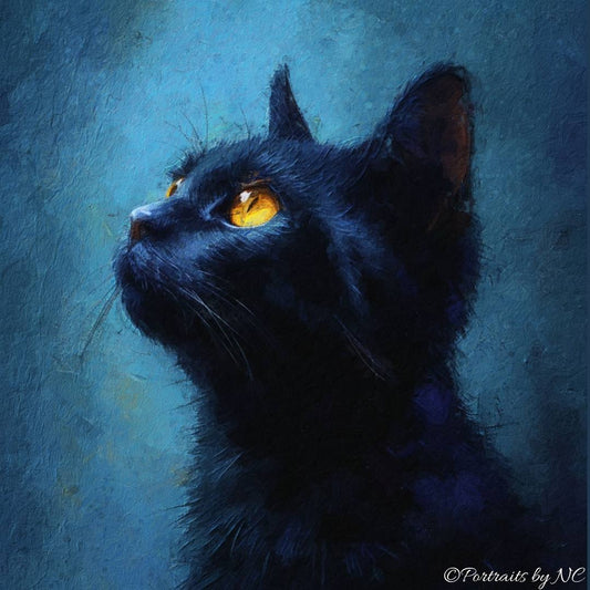 Black Cat Portrait on Blue Background