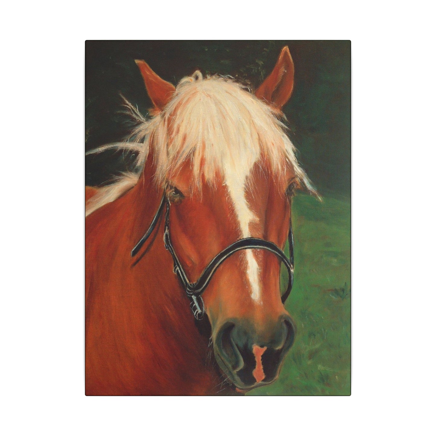 Brown Horse - Gallery Wrap Canvas Print