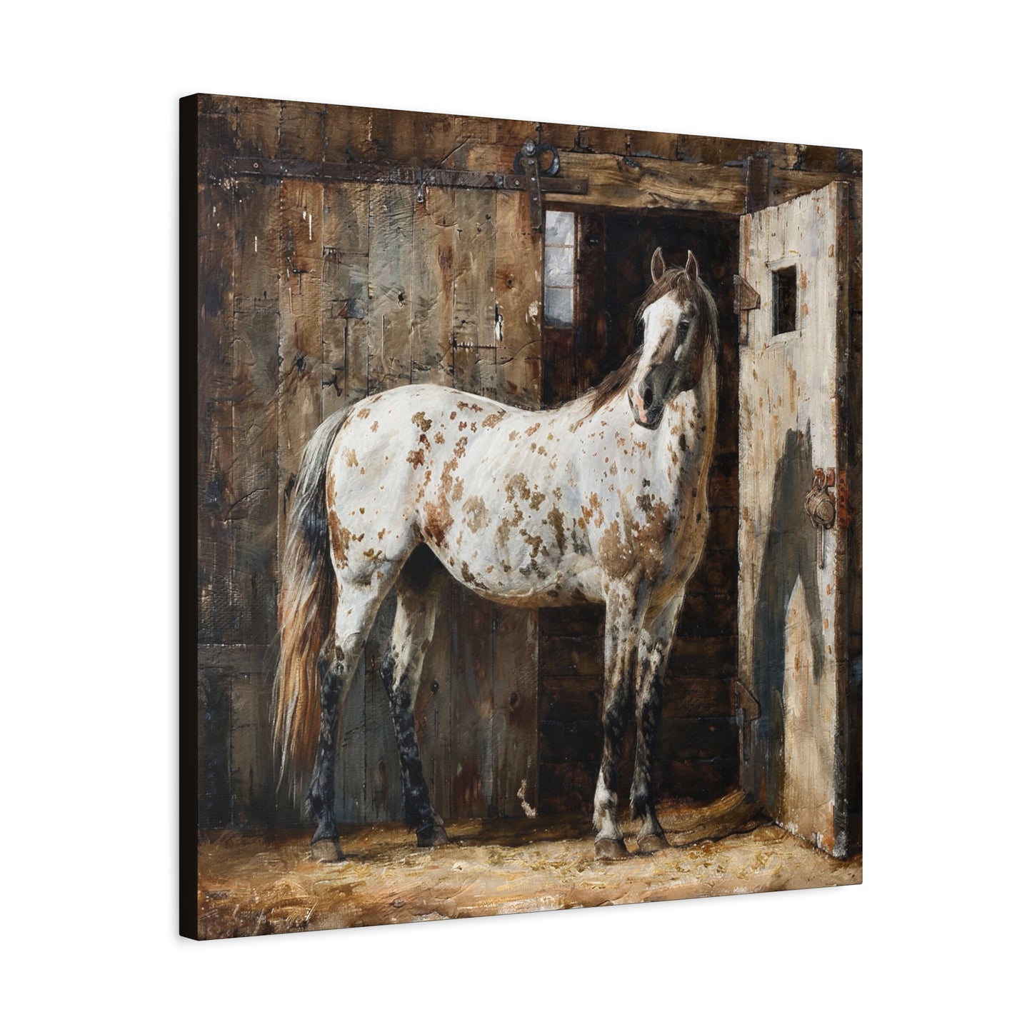Appaloosa Horse Canvas Wall Art — Rustic Equestrian Stretched Matte Print
