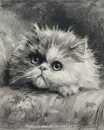 Detailed pencil drawing of a fluffy cat on a textured surface by Portraits by NC