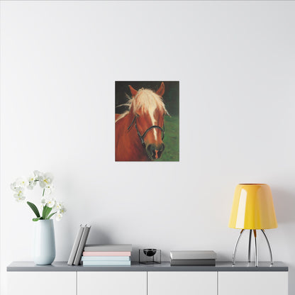 Brown Horse - Gallery Wrap Canvas Print
