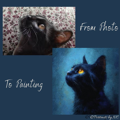 Black cat portrait from photo