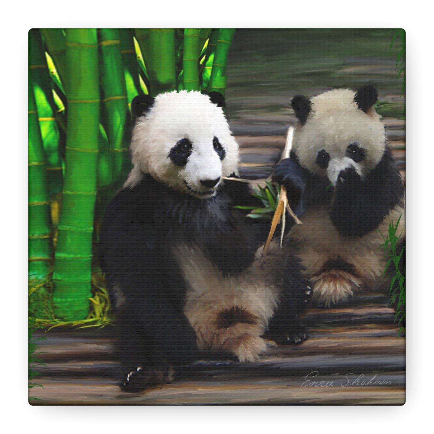 Pandas - Matte Canvas, Stretched, 1.25"