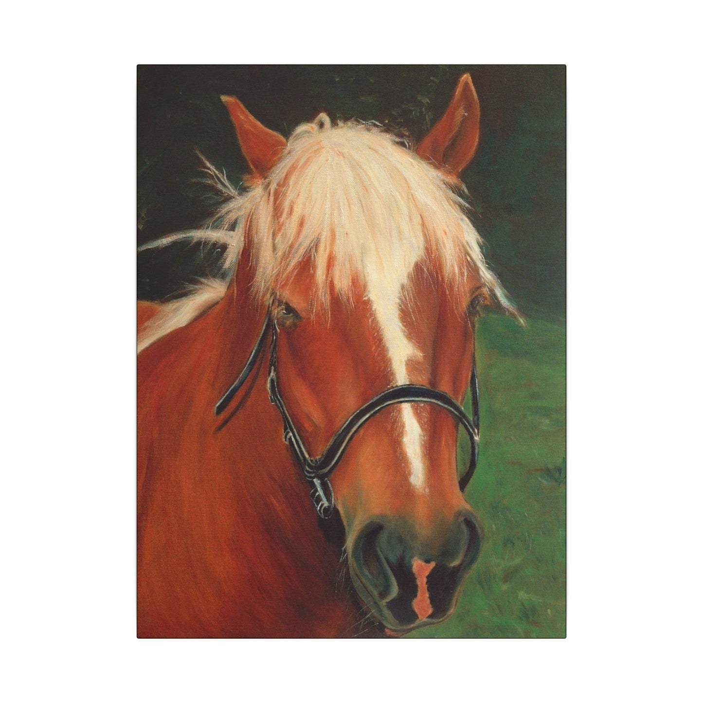Brown Horse - Gallery Wrap Canvas Print