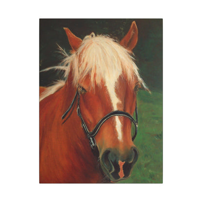 Brown Horse - Gallery Wrap Canvas Print