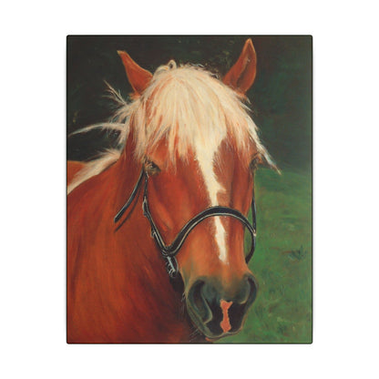 Brown Horse - Gallery Wrap Canvas Print