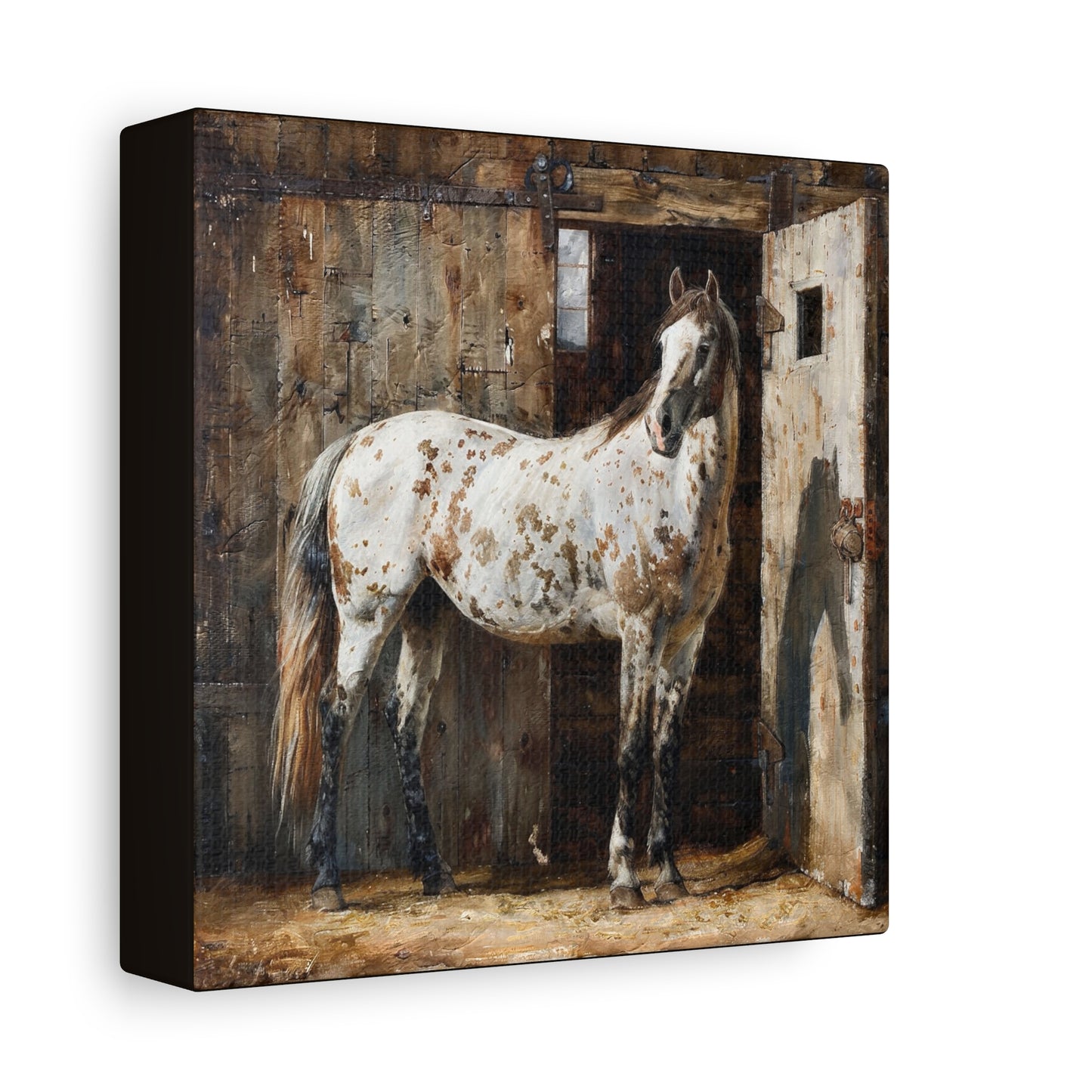 Appaloosa Horse Canvas Wall Art — Rustic Equestrian Stretched Matte Print