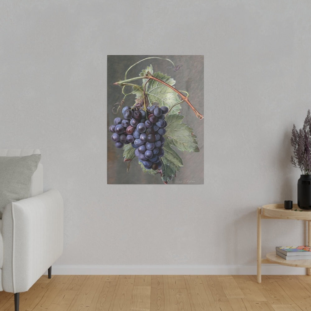 Fruit Print - Purple Grapes, Matte Canvas, Stretched Fruit Print - Purple Grapes, Matte Canvas, Stretched