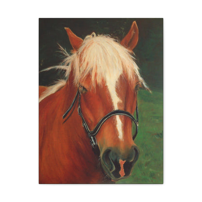 Brown Horse - Gallery Wrap Canvas Print