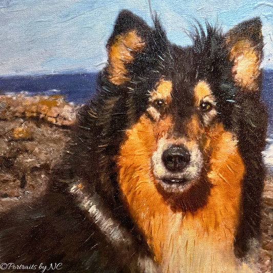 Collie Oil Painting