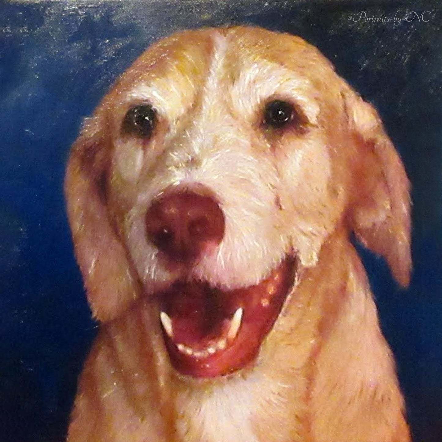 Labrador Portrait in Oil