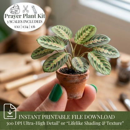 Printable Miniature Prayer Plant Houseplant Sheet (Multi-Scale Kit)
