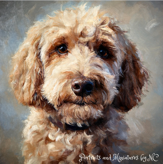 Labradoodle Dog Portrait