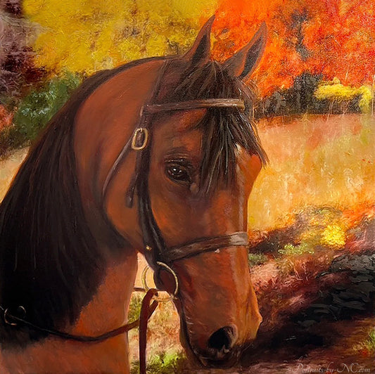 Horse Portrait in Oil - Arabian Horse named Backdraft