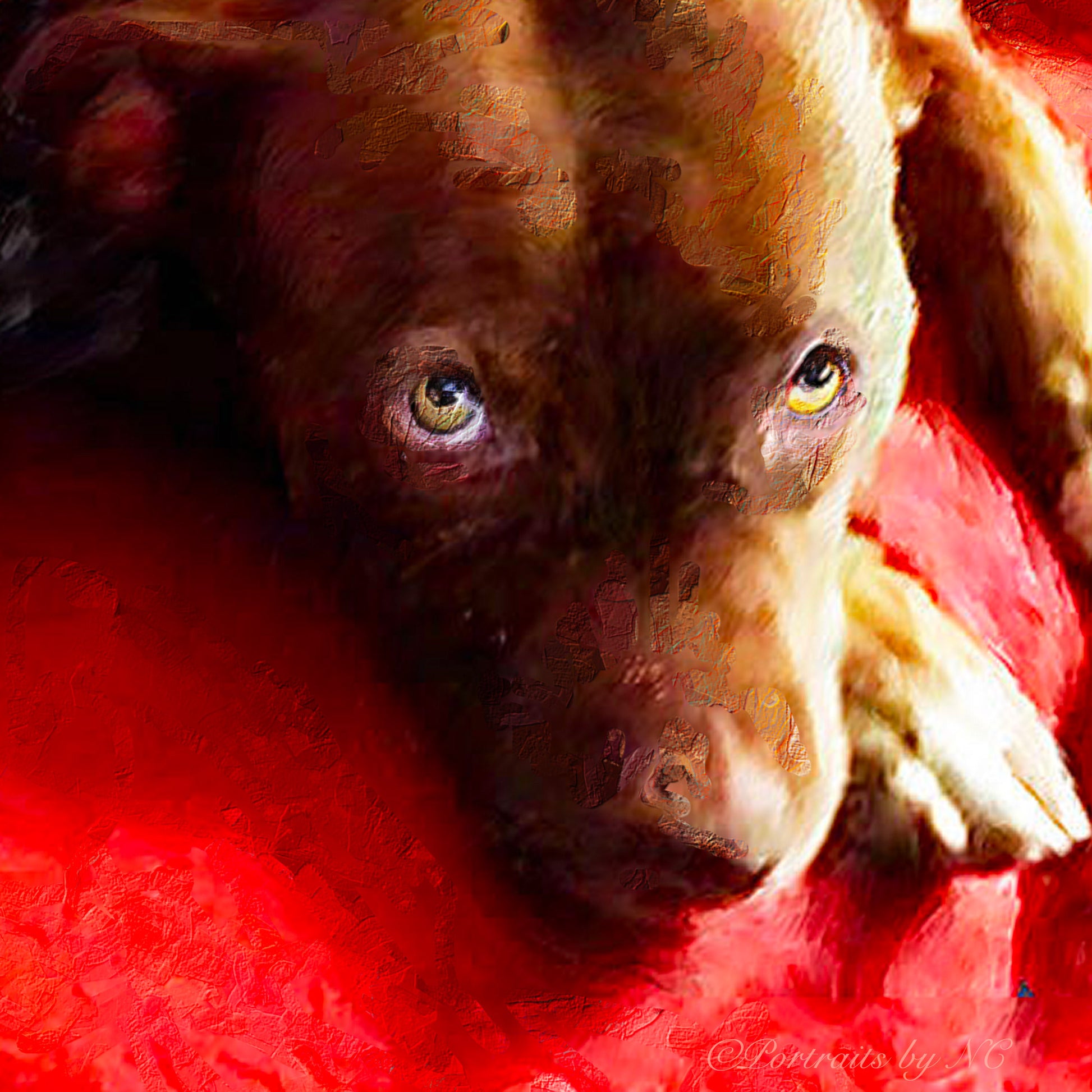 Group Dog Portrait Bulldog Portrait - Best Buddies - brown bulldog