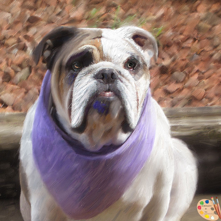 Bulldog with Bandana Pet Portrait