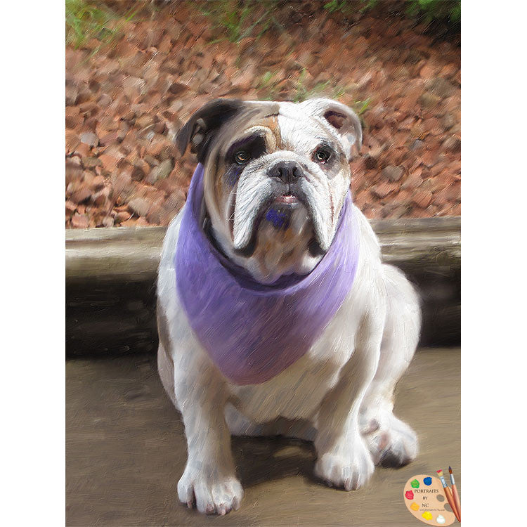 Bulldog with Bandana Pet Portrait full size