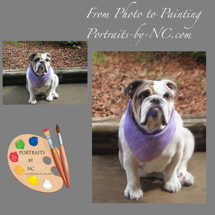 Bulldog with Bandana Pet Portrait from Photo to painting