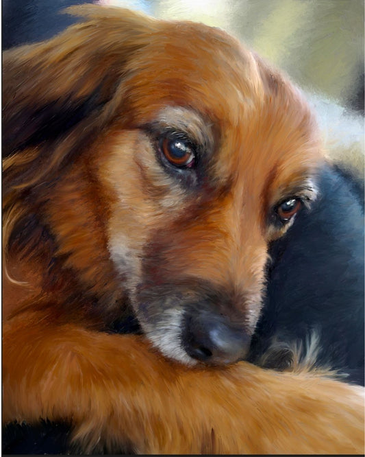 Custom Dachshund Digital Portrait from Photo | Wiener Dog Memorial