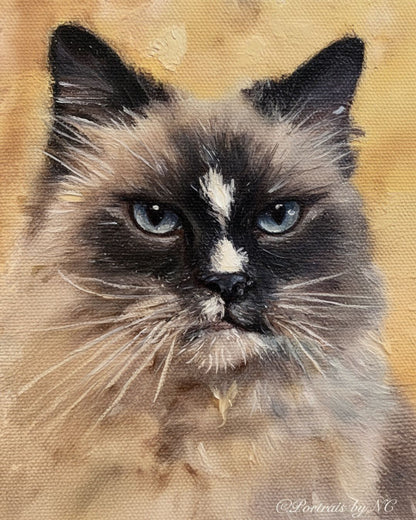 Artistic oil painting of a Birman cat with a textured background by Portraits by NC