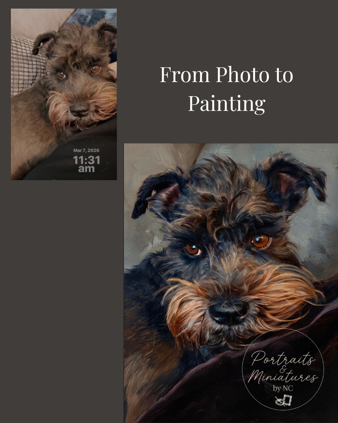 Miniature Schnauzer Hand-Painted Digital Portrait | Portrait Commission