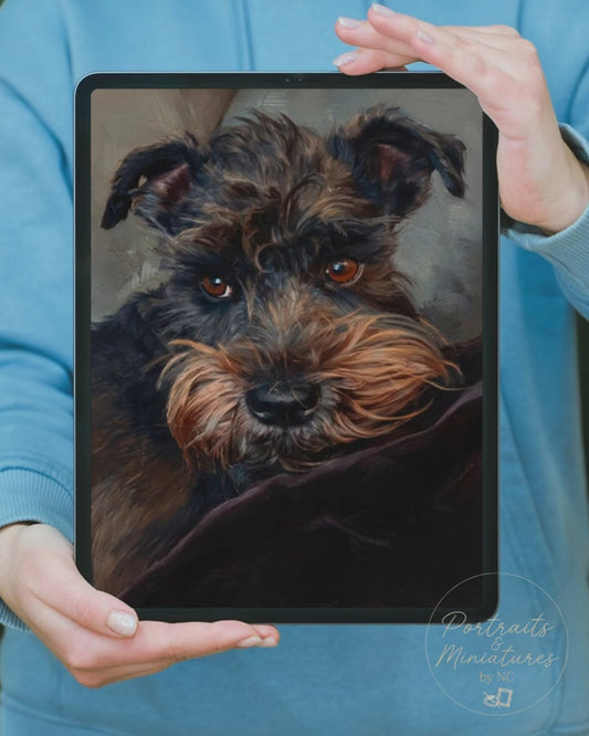 Miniature Schnauzer Hand-Painted Digital Portrait | Portrait Commission
