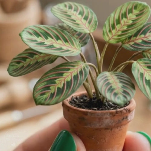 Printable Miniature Prayer Plant Houseplant Sheet (Multi-Scale Kit)