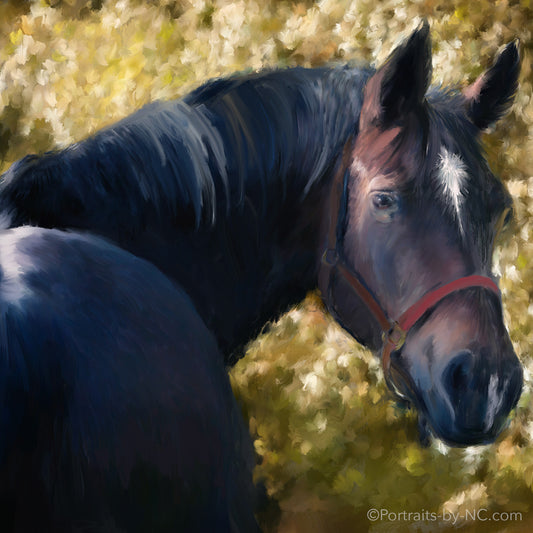 Tennessee Walking Horse - Custom Portrait