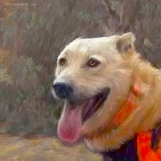 Chiens de chasse - Portrait numérique de chien de chasse