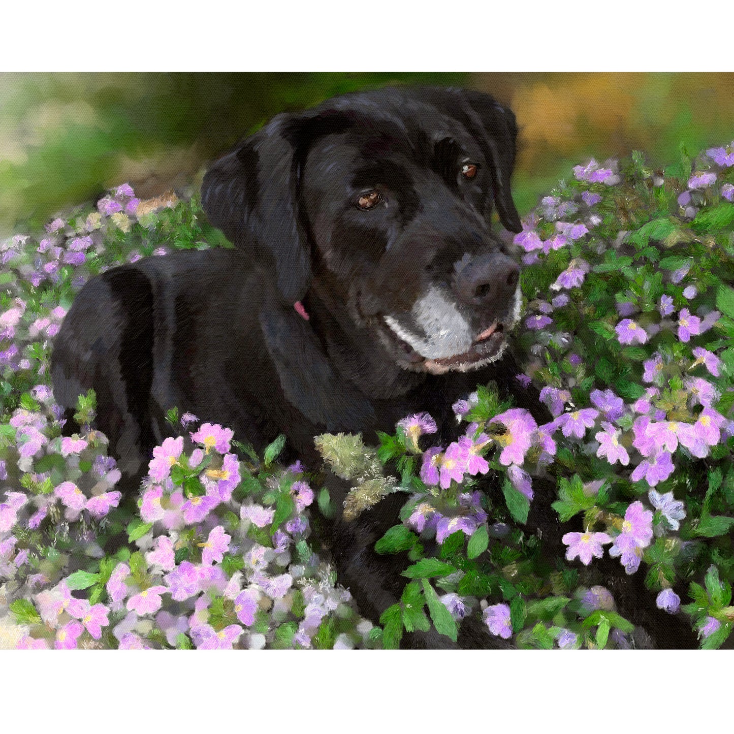 Labrador Pet Portrait in  Oil
