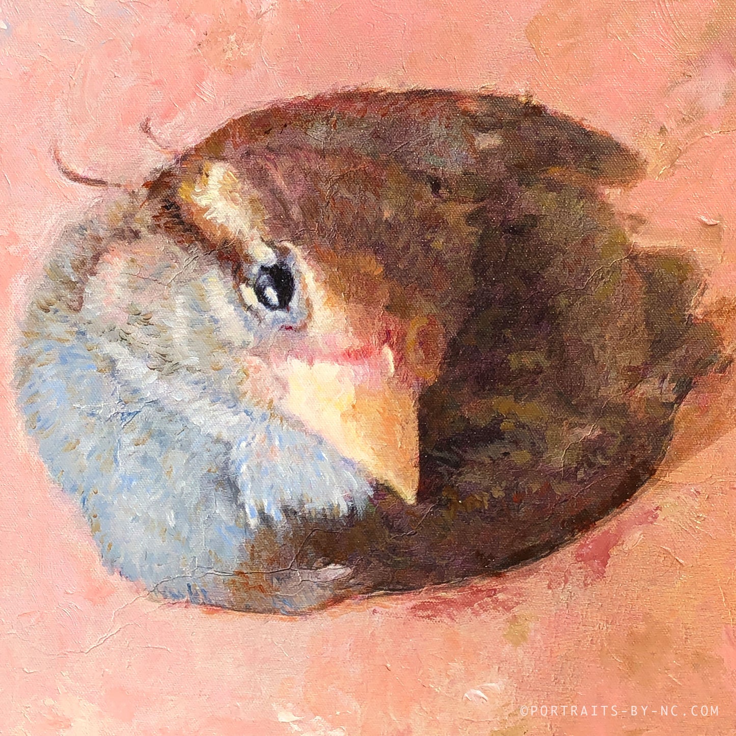 Sparrow Oil Painting