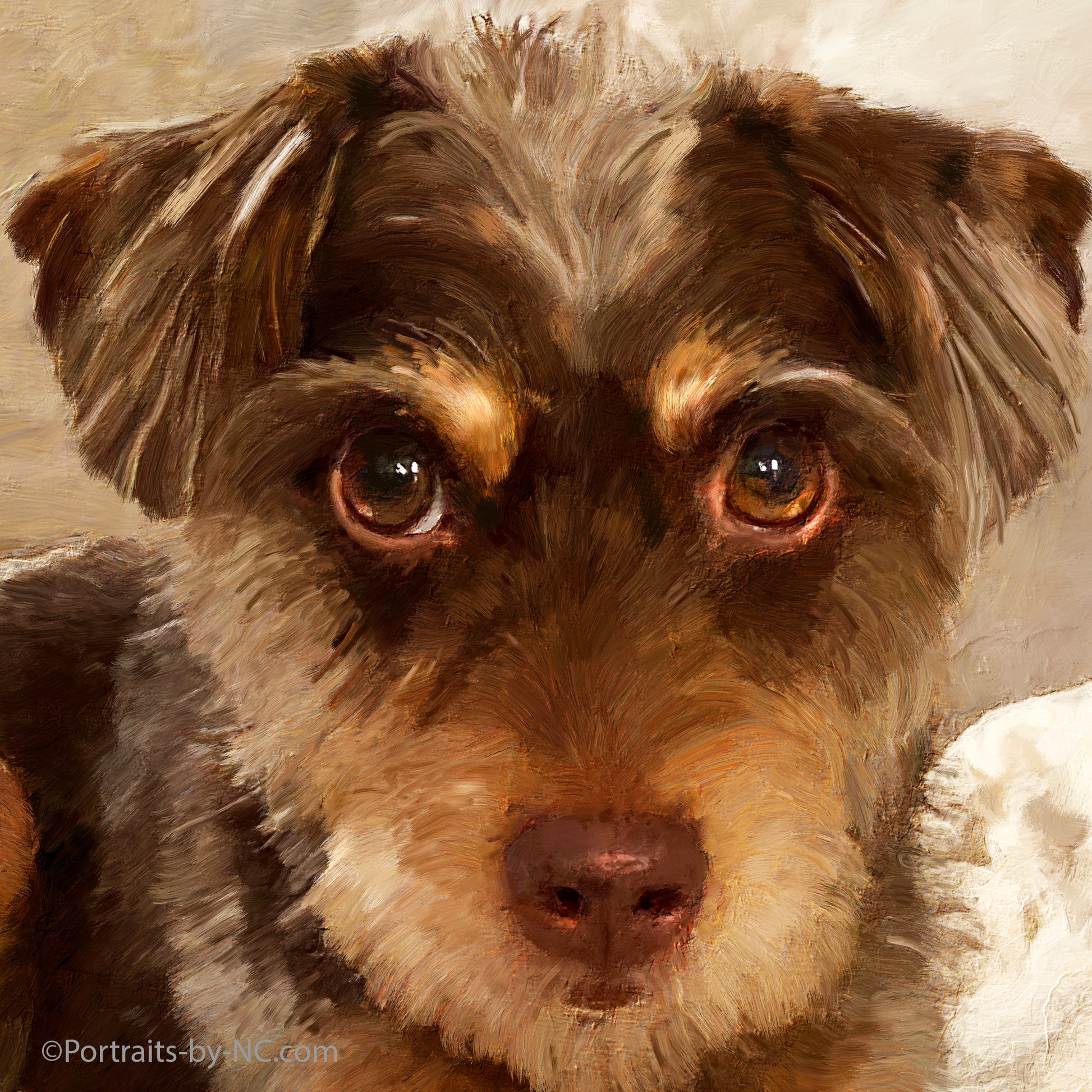 Brown Dog Pet portrait