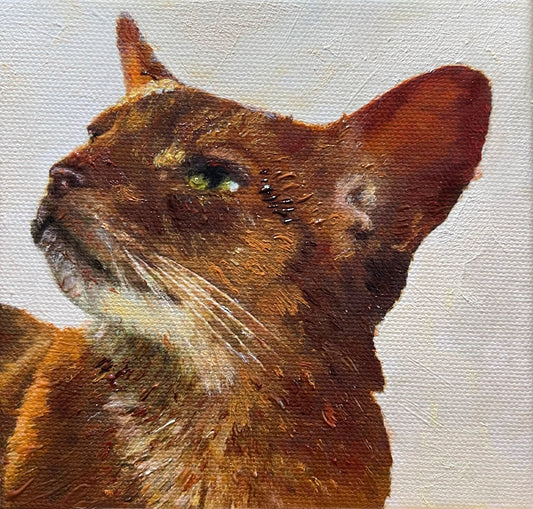 Custom Small Tabby Cat Portrait in Oil