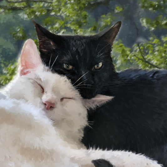 Two cats pet portrait closeup
