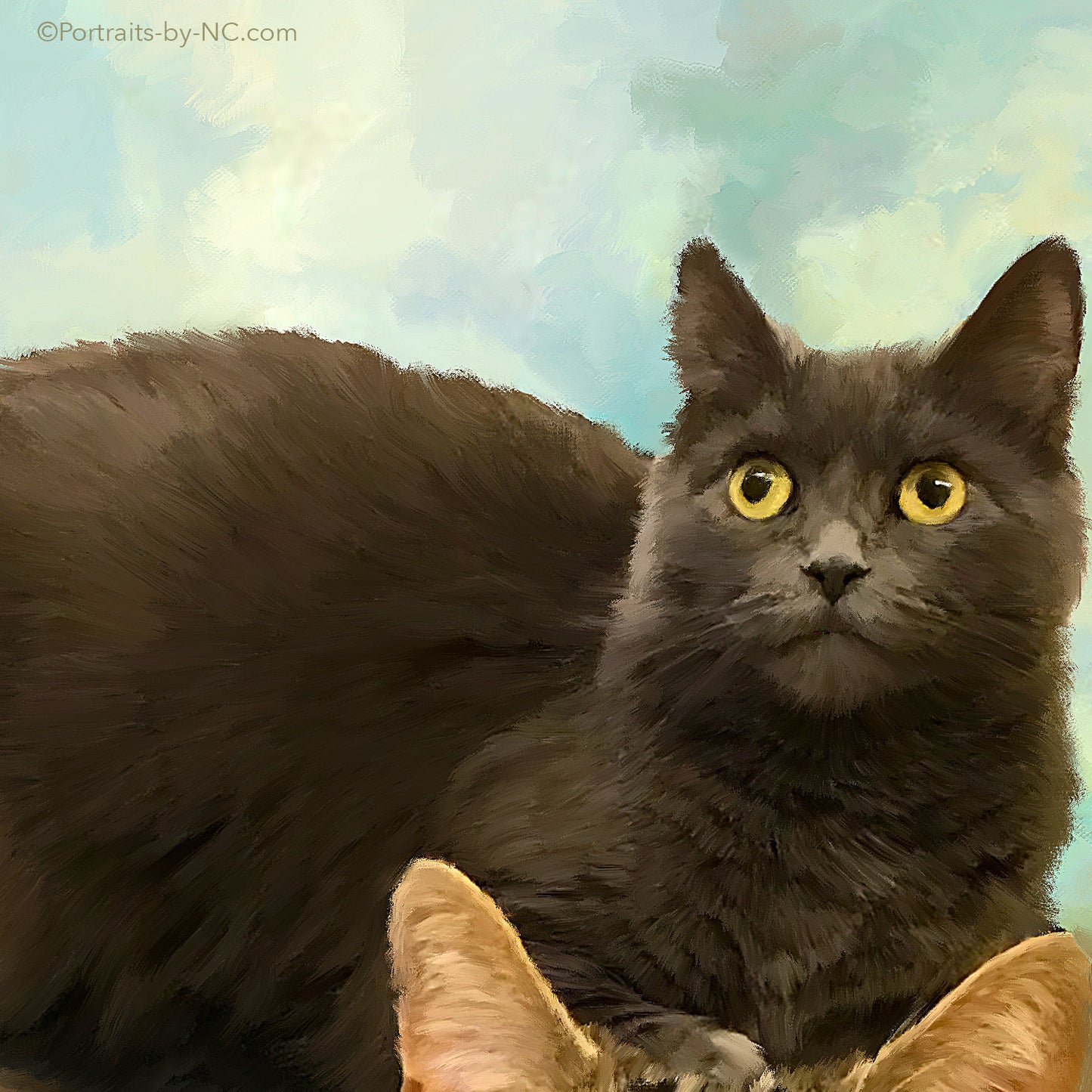 Black cat Portrait