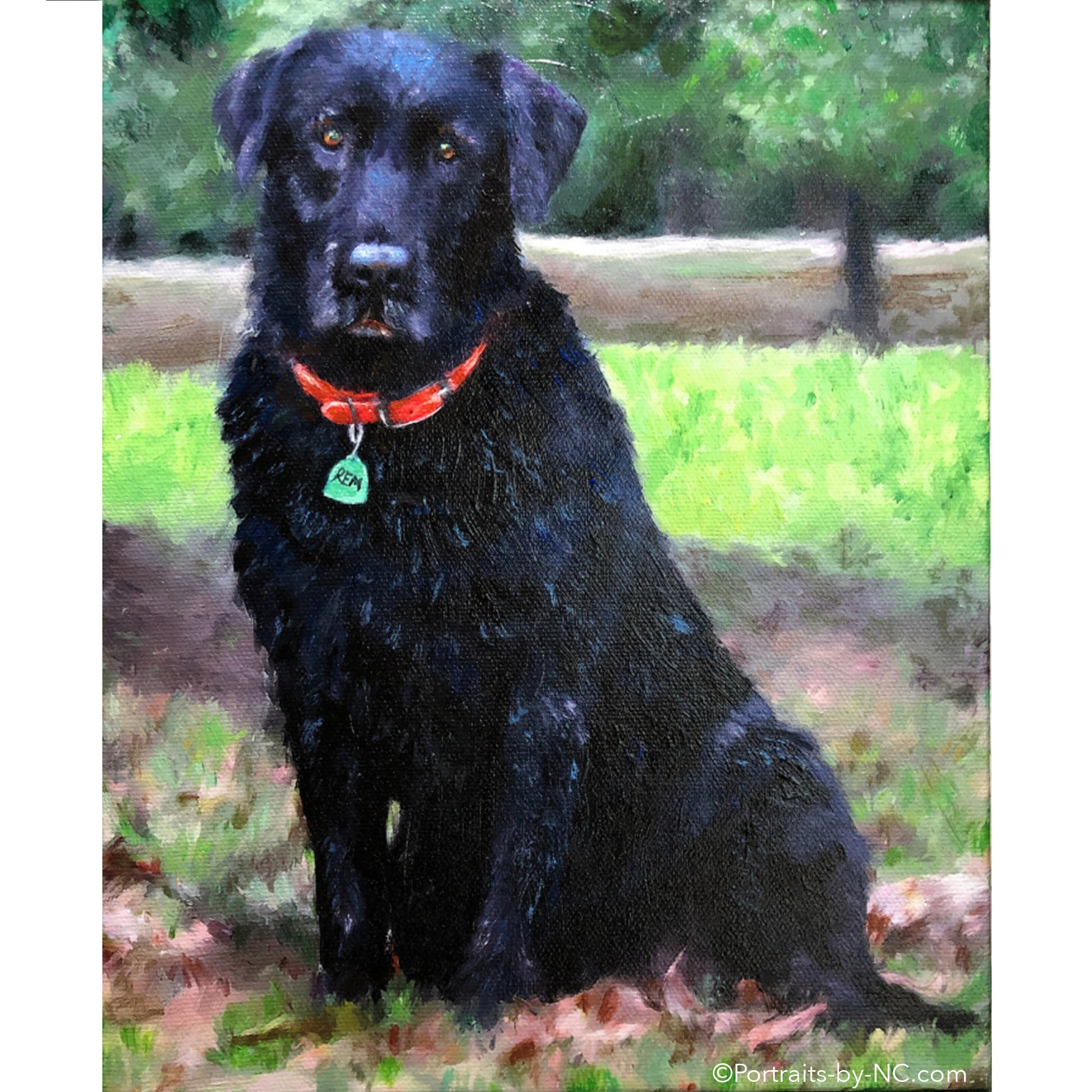 Black Labrador Portrait 691 - Portraits by NC