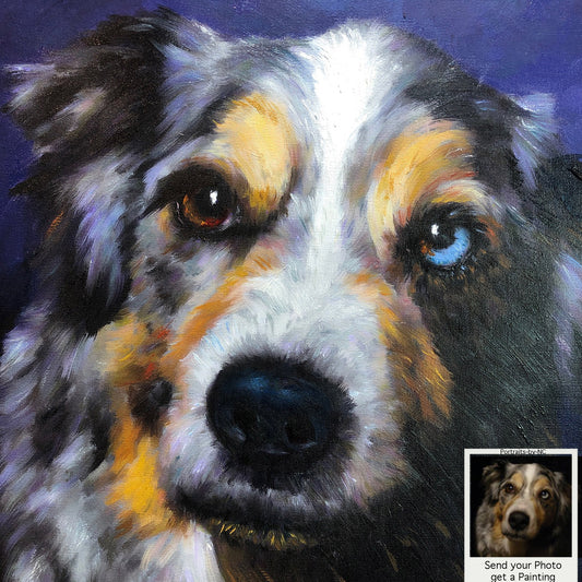 Portrait à l'huile de chien de berger australien - Portrait bleu merle 