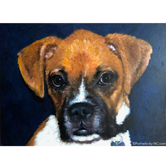 Boxer Puppy Oil Portrait 690 - Portraits by NC