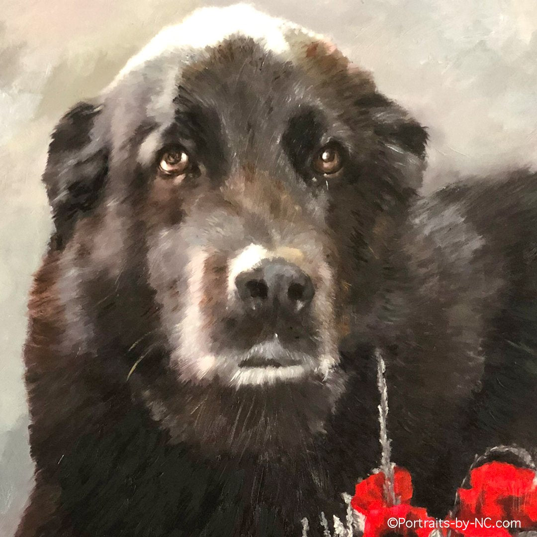 Labrador chocolat dans un champ de fleurs de pavot Portrait de chien