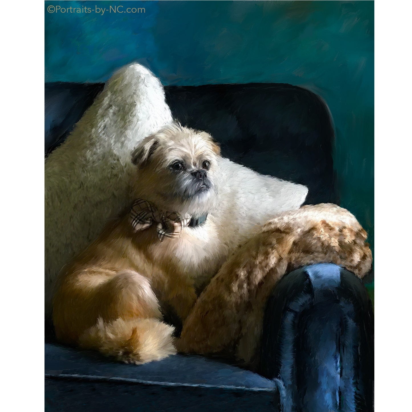 Brussels Griffon Dog Portrait 683 - Portraits by NC