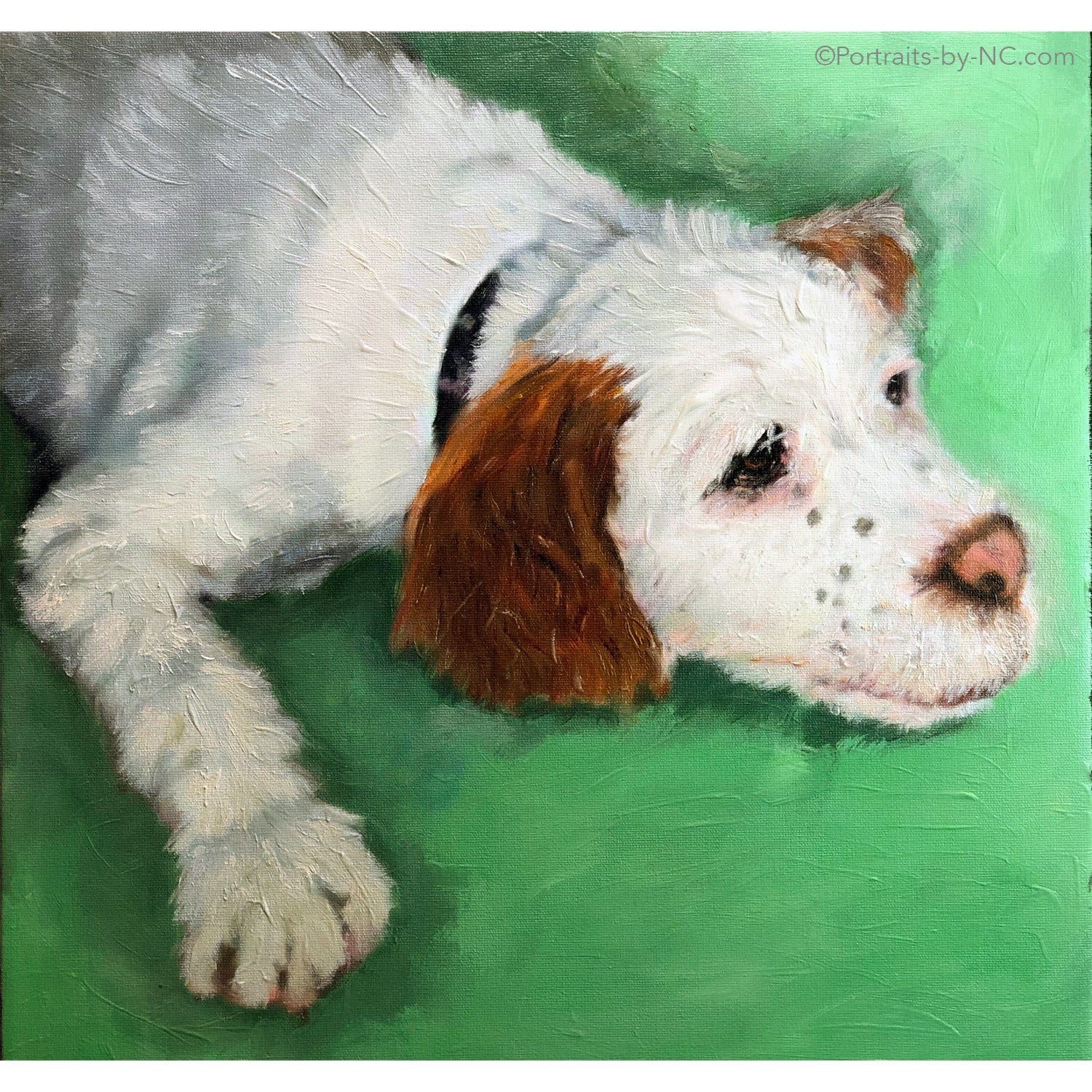 Cocker Spaniel Puppy Portrait