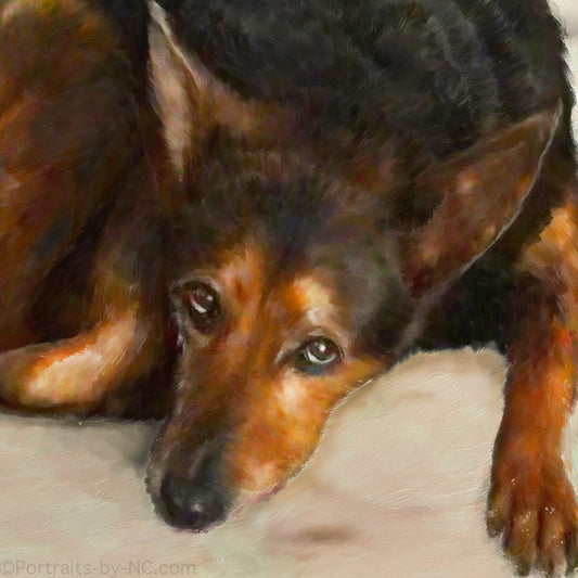 German Shepherd Face