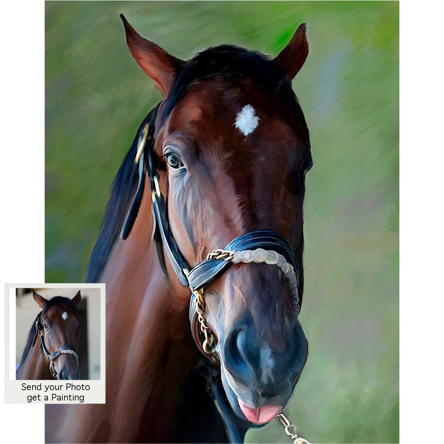 Horse Portraits - Wicked Strong