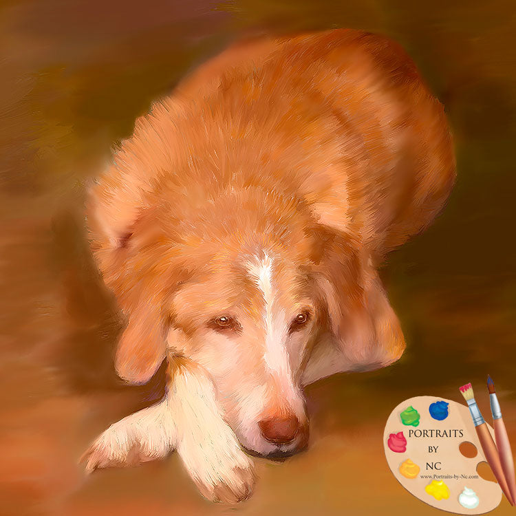 Labrador painting 633